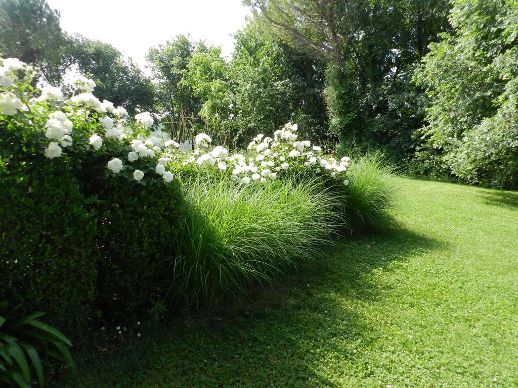 B&B I Fiori Della Cava เปซาโร ภายนอก รูปภาพ